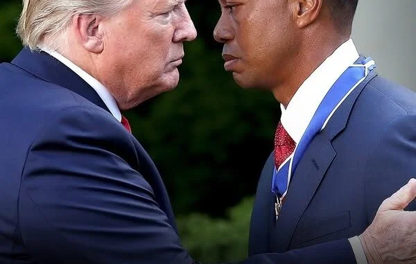 486162726_122124944420700364_5074204543077830309_n